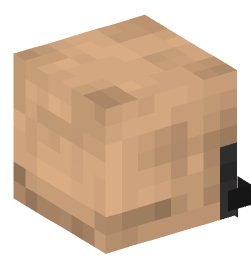 Minecraft head — People