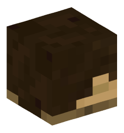 Minecraft head — Decor