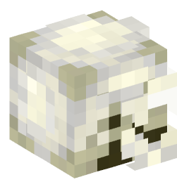 Minecraft head — Decor