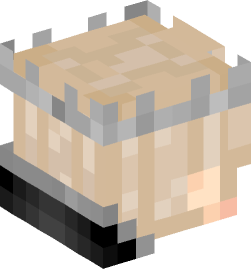 Minecraft head — People