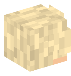 Minecraft head — People