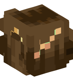 Minecraft head — People