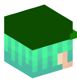 Minecraft head — People