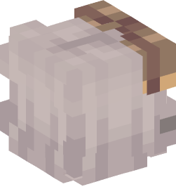 Minecraft head — People