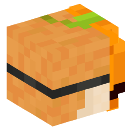 Minecraft head — People