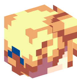 Minecraft head — People