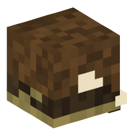 Minecraft head — Decor