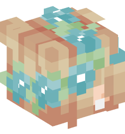 Minecraft head — People