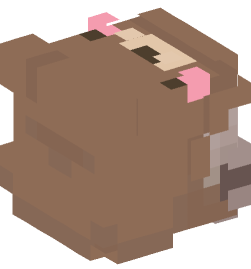 Minecraft head — People