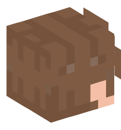 Minecraft head — People