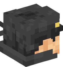 Minecraft head — People