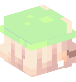 Minecraft head — People