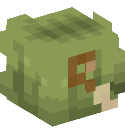 Minecraft head — People