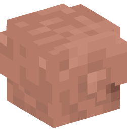 Minecraft head — Creatures