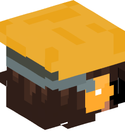 Minecraft head — People