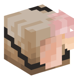 Minecraft head — Creatures