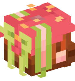 Minecraft head — People