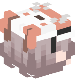 Minecraft head — People