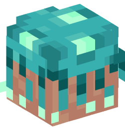 Minecraft head — Creatures