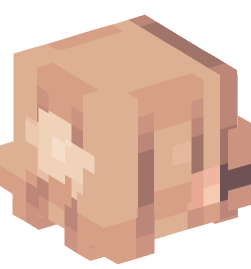 Minecraft head — People