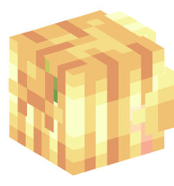 Minecraft head — People