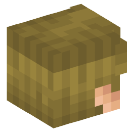 Minecraft head — People