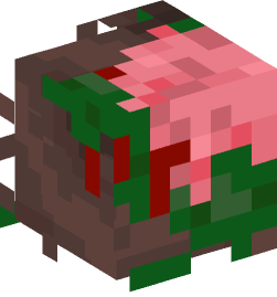 Minecraft head — Animals