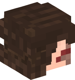 Minecraft head — People