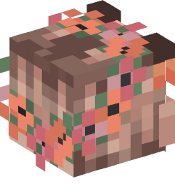 Minecraft head — People