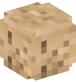 Minecraft head — Decor