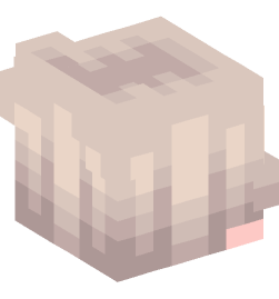 Minecraft head — People