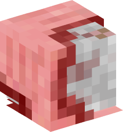 Minecraft head — Creatures