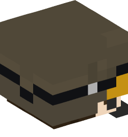 Minecraft head — People