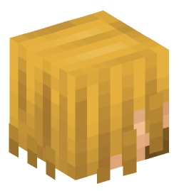 Minecraft head — People