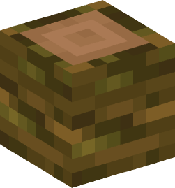 Minecraft head — Blocks