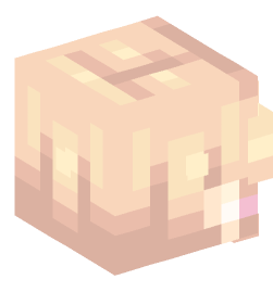 Minecraft head — People