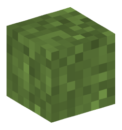 Minecraft head — Plants