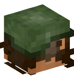 Minecraft head — People