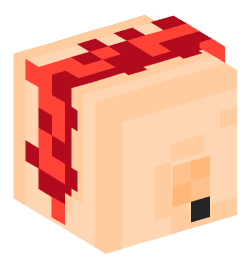 Minecraft head — People