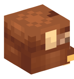 Minecraft head — Decor