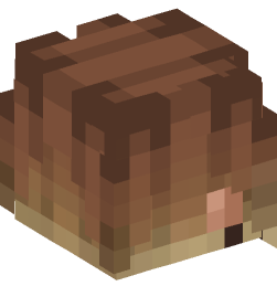 Minecraft head — People