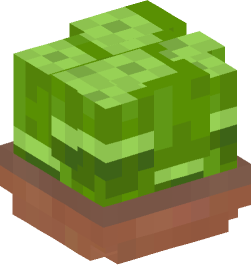 Minecraft head — Plants