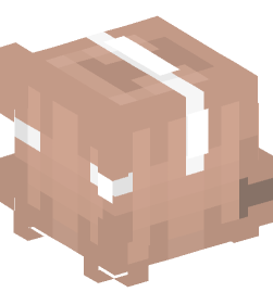 Minecraft head — People