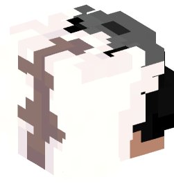 Minecraft head — People