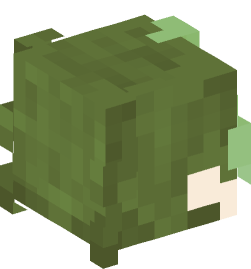 Minecraft head — People