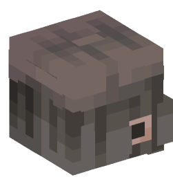 Minecraft head — People