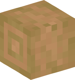 Minecraft head — Blocks