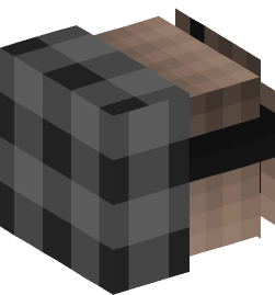 Minecraft head — People