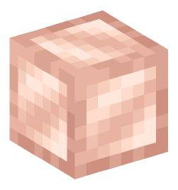 Minecraft head — Blocks