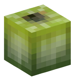 Minecraft head — Plants